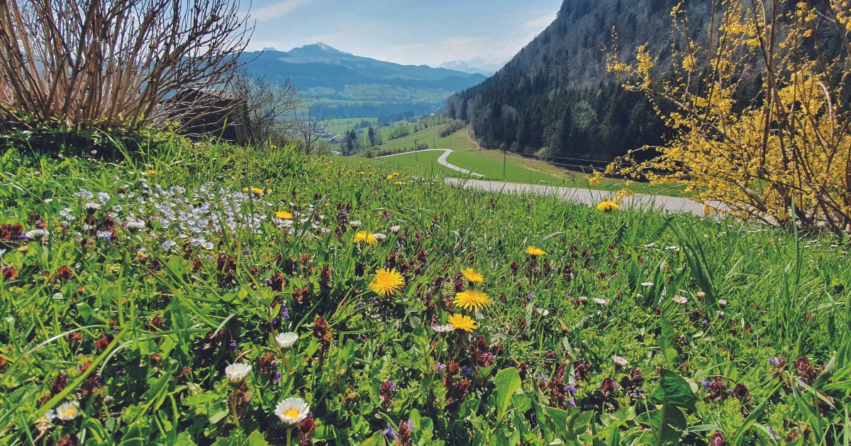 Wiestal Frühling - Foto: TVB Puch - Gerber